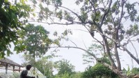 Berinteraksi langsung tanpa batas, pengalaman yang berbeda di Nara Kupu Village, Depok