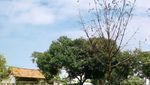 Wisata Rusa Tak Jauh dari Jakarta, Ada di Bekasi dan Depok
