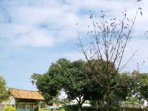 Wisata Rusa Tak Jauh dari Jakarta, Ada di Bekasi dan Depok