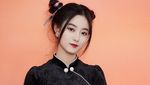 Pesona Xu Yiyang, Penyanyi China Mantan SMROOKIES