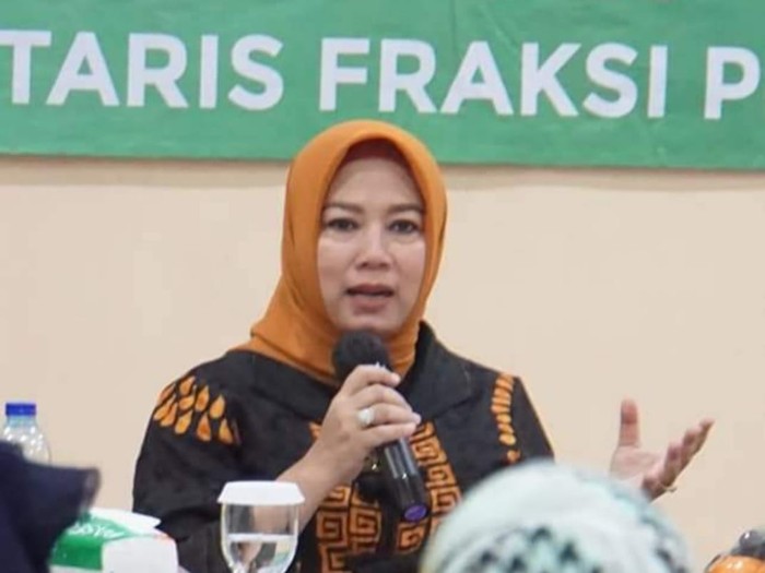 Anggota Komisi IV DPR F-PPP Elly Rachmat Yasin