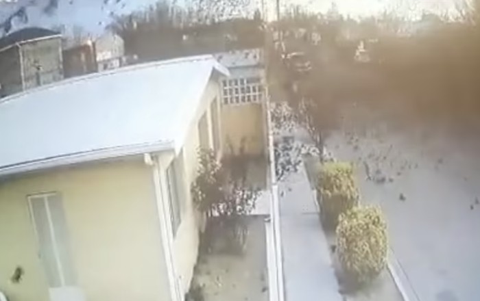 Burung berjatuhan massal