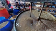 Harga Kedelai Naik, Perajin Tempe di Bandung Curhat Produksi Turun