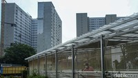 Para pengurus greenhouse ini dilakukan oleh warga rusun yang memiliki hobi bercocok tanam.