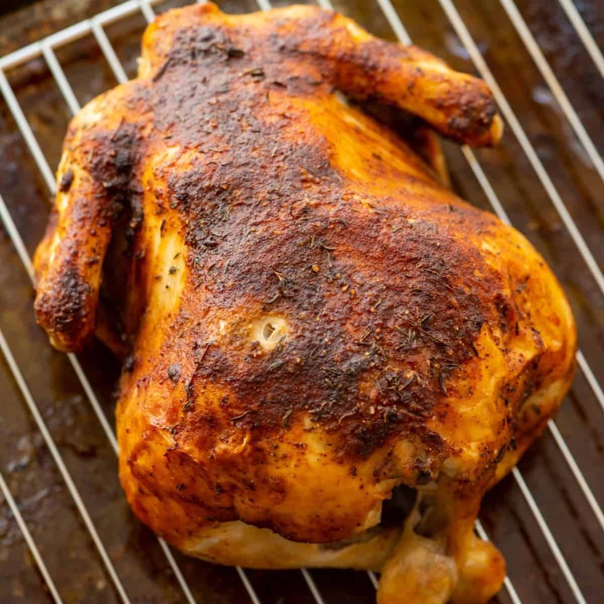 Mewah Banget! Anjing 'Diva' Ini Hanya Mau Makan Ayam Panggang