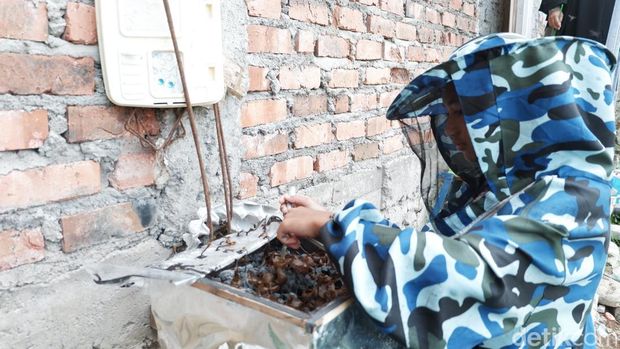 Nevan, bocah Sukabumi budidaya lebah madu