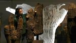 Meraba Kehidupan Ribuan Tahun Lalu dengan Menilik Artefak Stonehenge