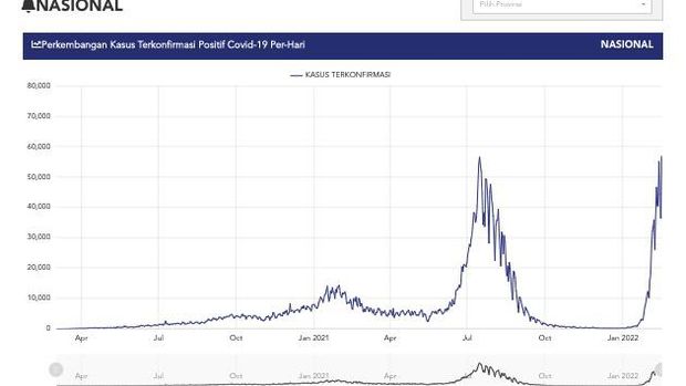 Penampakan Grafik Corona di Indonesia Usai Pecah Rekor 57.049 Kasus (Covid19.go.id)