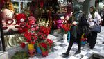 Mawar dan Balon Hati Warnai Hari Valentine di Bumi Taliban