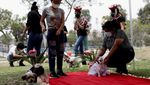 Gemas! Anjing di Peru Ikut Nikah Massal Saat Valentine