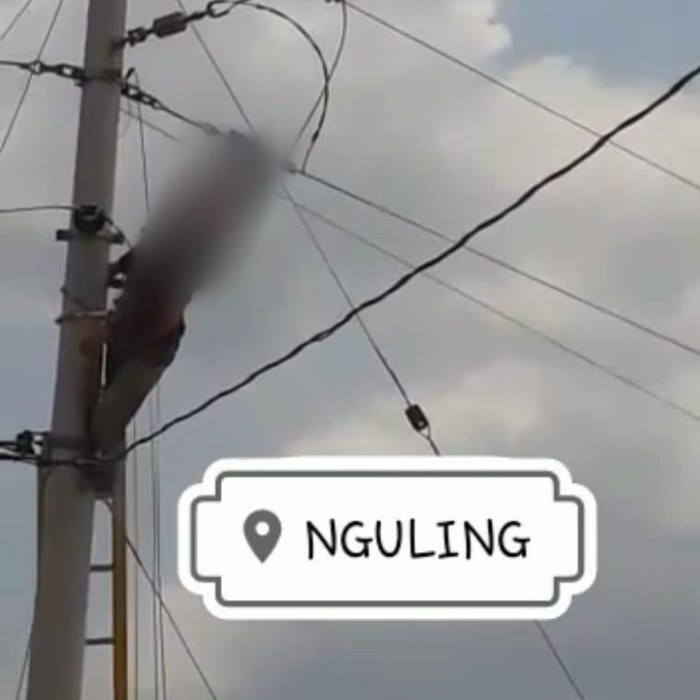 viral petugas tersetrum di pasuruan