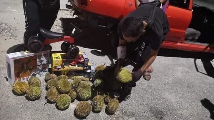 Barter durian dan mainan