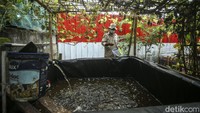 Jika biasanya ikan dijual Rp 33 ribu/kg, di sini warga hanya membeli dengan harga Rp 20 ribu/kg.