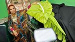 Dorce Gamalama dalam Bingkai Kenangan