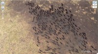 Fotoinet kumpulan potret keren dan aneh di Google Earth