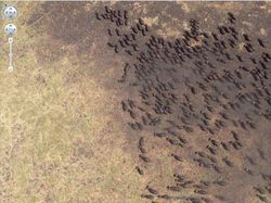 20 Penampakan di Google Earth yang Bikin Heran