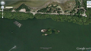 Bangkai Kapal karam SS Ayrfield yang ditumbuhi pepohonan ini terletak di teluk Homebush, Sydnye, Australia. Foto: Dok. Google Earth