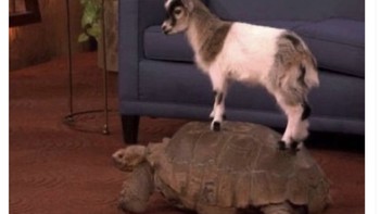 Namun dalam pertandingan semalam, Messi dianggap tak bisa berbuat banyak dan PSG bergantung pada Mbappe. Foto: Twitter