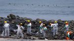 Tengok Lagi Puluhan Pantai di Peru yang Sudah Sebulan Tercemar Minyak