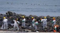 Pekerja melanjutkan kampanye pembersihan minyak di Pantai Pocitos di Ancon, Peru, Selasa (15/2/2022).  