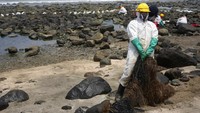 Vasquez mengatakan PBB akan menyediakan tim ahli untuk membantu Peru menangani tumpahan minyak. Orang-orang untuk saat ini dilarang pergi ke 21 pantai yang tercemar karena masalah kesehatan.
