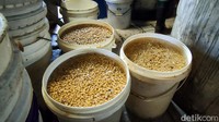 Saat ini harga kedelai impor berada di kisaran Rp 11.000 per kg. 