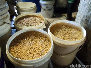 Ironi RI Produsen Tempe Terbesar Dunia tapi Kedelainya Impor
