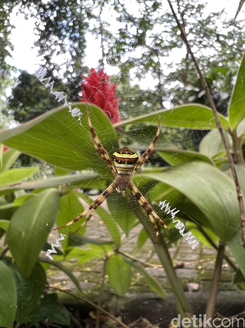 Test Kamera iPhone vs S22 Ultra