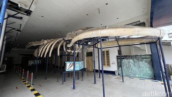 Foto ultra-wide kanan. Foto: Anggoro Suryo Jati/detikINET