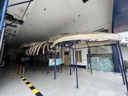 Blind Test Kamera Galaxy S22 Ultra Vs iPhone 13 Pro, Suka Mana?