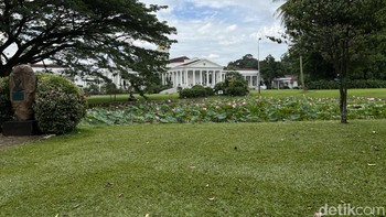 Foto kanan. Foto: Anggoro Suryo Jati/detikINET