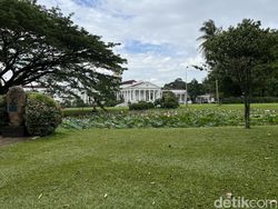 Blind Test Kamera Galaxy S22 Ultra Vs iPhone 13 Pro, Suka Mana?