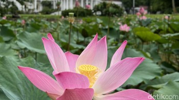 Foto kanan. Foto: Anggoro Suryo Jati/detikINET