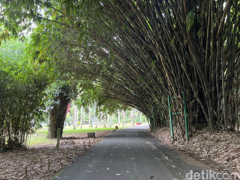 Test Kamera iPhone vs S22