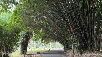 Foto kiri. Foto: Anggoro Suryo Jati/detikINET