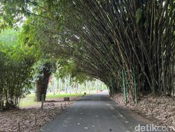 Blind Test Kamera Galaxy S22 Ultra Vs iPhone 13 Pro, Suka Mana?