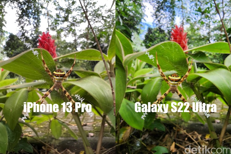 Test Kamera S22 Ultra vs iPhone Test Kamera S22 Ultra vs iPhone