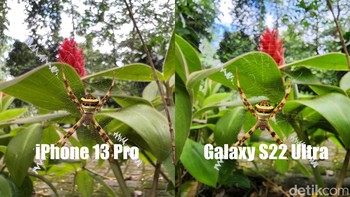 Ini hasilnya. Foto: detikINET