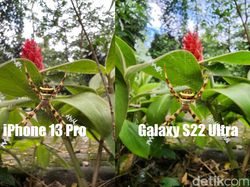 Blind Test Kamera Galaxy S22 Ultra Vs iPhone 13 Pro, Suka Mana?