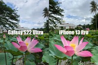 Test Kamera S22 Ultra vs iPhone