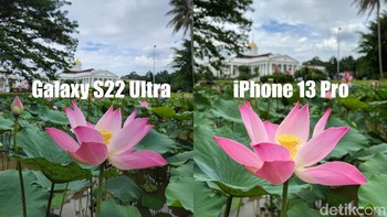 Ini dia hasilnya. Foto: detikINET