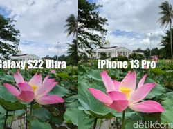 Blind Test Kamera Galaxy S22 Ultra Vs iPhone 13 Pro, Suka Mana?