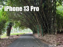 Blind Test Kamera Galaxy S22 Ultra Vs iPhone 13 Pro, Suka Mana?