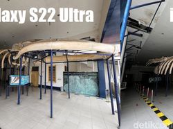 Blind Test Kamera Galaxy S22 Ultra Vs iPhone 13 Pro, Suka Mana?