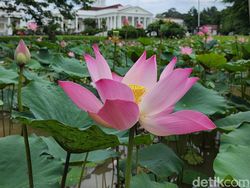 Blind Test Kamera Galaxy S22 Ultra Vs iPhone 13 Pro, Suka Mana?