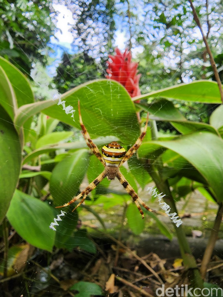 Test Kamera S22 vs iPhone