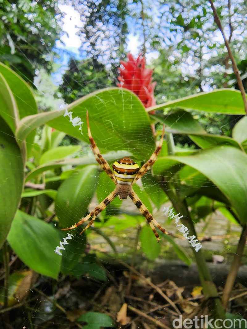 Test Kamera S22 vs iPhone