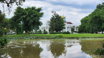 Zoom 3x kanan. Foto: Adi Fida Rahman/detikINET