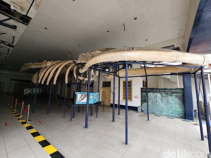 Test Kamera S22 vs iPhone