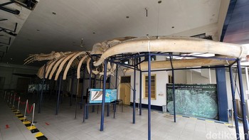 Foto ultra-wide kiri. Foto: Adi Fida Rahman/detikINET